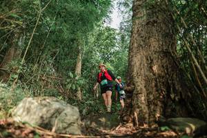 BIB: 
                            <button type="button" onclick="openModal(25169640)" class="btn btn-primary btn-sm float-right btn-popup" data-toggle="modal" data-target=".modal-high-quality">
                        <i class="fas fa-shopping-cart"></i> Add to Cart
                    </button>
                                            <button type="button" onclick="isThisMe(25169640, true)" class="btn btn-success btn-sm float-right btn-popup btn-isme hidden" data-toggle="tooltip" data-placement="bottom" title="นี่คือรูปของคุณใช่ไหม คลิกที่นี่เพื่อเอาเข้าอัลบั้ม">
                        <i class="fas fa-plus"></i> Add to album
                    </button>
                    <button type="button" onclick="isThisMe(25169640, false)" class="btn btn-warning btn-sm float-right btn-popup btn-isnotme hidden">
                        <i class="fas fa-ban"></i> Remove from album
                    </button>