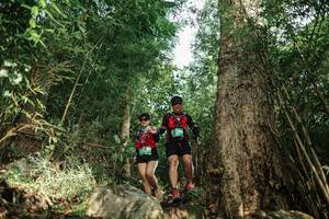 BIB: 
                            <button type="button" onclick="openModal(25169035)" class="btn btn-primary btn-sm float-right btn-popup" data-toggle="modal" data-target=".modal-high-quality">
                        <i class="fas fa-shopping-cart"></i> Add to Cart
                    </button>
                                            <button type="button" onclick="isThisMe(25169035, true)" class="btn btn-success btn-sm float-right btn-popup btn-isme hidden" data-toggle="tooltip" data-placement="bottom" title="นี่คือรูปของคุณใช่ไหม คลิกที่นี่เพื่อเอาเข้าอัลบั้ม">
                        <i class="fas fa-plus"></i> Add to album
                    </button>
                    <button type="button" onclick="isThisMe(25169035, false)" class="btn btn-warning btn-sm float-right btn-popup btn-isnotme hidden">
                        <i class="fas fa-ban"></i> Remove from album
                    </button>