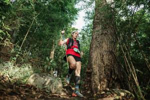 BIB: 
                            <button type="button" onclick="openModal(25168916)" class="btn btn-primary btn-sm float-right btn-popup" data-toggle="modal" data-target=".modal-high-quality">
                        <i class="fas fa-shopping-cart"></i> Add to Cart
                    </button>
                                            <button type="button" onclick="isThisMe(25168916, true)" class="btn btn-success btn-sm float-right btn-popup btn-isme hidden" data-toggle="tooltip" data-placement="bottom" title="นี่คือรูปของคุณใช่ไหม คลิกที่นี่เพื่อเอาเข้าอัลบั้ม">
                        <i class="fas fa-plus"></i> Add to album
                    </button>
                    <button type="button" onclick="isThisMe(25168916, false)" class="btn btn-warning btn-sm float-right btn-popup btn-isnotme hidden">
                        <i class="fas fa-ban"></i> Remove from album
                    </button>