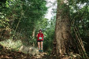 BIB: 
                            <button type="button" onclick="openModal(25168796)" class="btn btn-primary btn-sm float-right btn-popup" data-toggle="modal" data-target=".modal-high-quality">
                        <i class="fas fa-shopping-cart"></i> Add to Cart
                    </button>
                                            <button type="button" onclick="isThisMe(25168796, true)" class="btn btn-success btn-sm float-right btn-popup btn-isme hidden" data-toggle="tooltip" data-placement="bottom" title="นี่คือรูปของคุณใช่ไหม คลิกที่นี่เพื่อเอาเข้าอัลบั้ม">
                        <i class="fas fa-plus"></i> Add to album
                    </button>
                    <button type="button" onclick="isThisMe(25168796, false)" class="btn btn-warning btn-sm float-right btn-popup btn-isnotme hidden">
                        <i class="fas fa-ban"></i> Remove from album
                    </button>