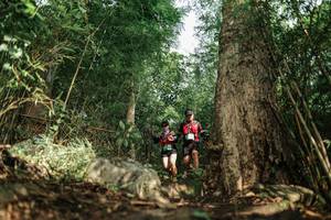 BIB: 
                            <button type="button" onclick="openModal(25169025)" class="btn btn-primary btn-sm float-right btn-popup" data-toggle="modal" data-target=".modal-high-quality">
                        <i class="fas fa-shopping-cart"></i> Add to Cart
                    </button>
                                            <button type="button" onclick="isThisMe(25169025, true)" class="btn btn-success btn-sm float-right btn-popup btn-isme hidden" data-toggle="tooltip" data-placement="bottom" title="นี่คือรูปของคุณใช่ไหม คลิกที่นี่เพื่อเอาเข้าอัลบั้ม">
                        <i class="fas fa-plus"></i> Add to album
                    </button>
                    <button type="button" onclick="isThisMe(25169025, false)" class="btn btn-warning btn-sm float-right btn-popup btn-isnotme hidden">
                        <i class="fas fa-ban"></i> Remove from album
                    </button>