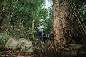 BIB: 
                            <button type="button" onclick="openModal(25169976)" class="btn btn-primary btn-sm float-right btn-popup" data-toggle="modal" data-target=".modal-high-quality">
                        <i class="fas fa-shopping-cart"></i> Add to Cart
                    </button>
                                            <button type="button" onclick="isThisMe(25169976, true)" class="btn btn-success btn-sm float-right btn-popup btn-isme hidden" data-toggle="tooltip" data-placement="bottom" title="นี่คือรูปของคุณใช่ไหม คลิกที่นี่เพื่อเอาเข้าอัลบั้ม">
                        <i class="fas fa-plus"></i> Add to album
                    </button>
                    <button type="button" onclick="isThisMe(25169976, false)" class="btn btn-warning btn-sm float-right btn-popup btn-isnotme hidden">
                        <i class="fas fa-ban"></i> Remove from album
                    </button>