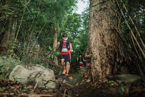 BIB: 
                            <button type="button" onclick="openModal(25169820)" class="btn btn-primary btn-sm float-right btn-popup" data-toggle="modal" data-target=".modal-high-quality">
                        <i class="fas fa-shopping-cart"></i> Add to Cart
                    </button>
                                            <button type="button" onclick="isThisMe(25169820, true)" class="btn btn-success btn-sm float-right btn-popup btn-isme hidden" data-toggle="tooltip" data-placement="bottom" title="นี่คือรูปของคุณใช่ไหม คลิกที่นี่เพื่อเอาเข้าอัลบั้ม">
                        <i class="fas fa-plus"></i> Add to album
                    </button>
                    <button type="button" onclick="isThisMe(25169820, false)" class="btn btn-warning btn-sm float-right btn-popup btn-isnotme hidden">
                        <i class="fas fa-ban"></i> Remove from album
                    </button>