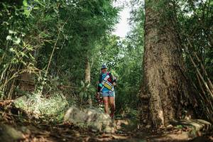 BIB: 
                            <button type="button" onclick="openModal(25168725)" class="btn btn-primary btn-sm float-right btn-popup" data-toggle="modal" data-target=".modal-high-quality">
                        <i class="fas fa-shopping-cart"></i> Add to Cart
                    </button>
                                            <button type="button" onclick="isThisMe(25168725, true)" class="btn btn-success btn-sm float-right btn-popup btn-isme hidden" data-toggle="tooltip" data-placement="bottom" title="นี่คือรูปของคุณใช่ไหม คลิกที่นี่เพื่อเอาเข้าอัลบั้ม">
                        <i class="fas fa-plus"></i> Add to album
                    </button>
                    <button type="button" onclick="isThisMe(25168725, false)" class="btn btn-warning btn-sm float-right btn-popup btn-isnotme hidden">
                        <i class="fas fa-ban"></i> Remove from album
                    </button>