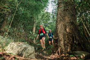 BIB: 
                            <button type="button" onclick="openModal(25169656)" class="btn btn-primary btn-sm float-right btn-popup" data-toggle="modal" data-target=".modal-high-quality">
                        <i class="fas fa-shopping-cart"></i> Add to Cart
                    </button>
                                            <button type="button" onclick="isThisMe(25169656, true)" class="btn btn-success btn-sm float-right btn-popup btn-isme hidden" data-toggle="tooltip" data-placement="bottom" title="นี่คือรูปของคุณใช่ไหม คลิกที่นี่เพื่อเอาเข้าอัลบั้ม">
                        <i class="fas fa-plus"></i> Add to album
                    </button>
                    <button type="button" onclick="isThisMe(25169656, false)" class="btn btn-warning btn-sm float-right btn-popup btn-isnotme hidden">
                        <i class="fas fa-ban"></i> Remove from album
                    </button>