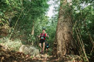 BIB: 
                            <button type="button" onclick="openModal(25169176)" class="btn btn-primary btn-sm float-right btn-popup" data-toggle="modal" data-target=".modal-high-quality">
                        <i class="fas fa-shopping-cart"></i> Add to Cart
                    </button>
                                            <button type="button" onclick="isThisMe(25169176, true)" class="btn btn-success btn-sm float-right btn-popup btn-isme hidden" data-toggle="tooltip" data-placement="bottom" title="นี่คือรูปของคุณใช่ไหม คลิกที่นี่เพื่อเอาเข้าอัลบั้ม">
                        <i class="fas fa-plus"></i> Add to album
                    </button>
                    <button type="button" onclick="isThisMe(25169176, false)" class="btn btn-warning btn-sm float-right btn-popup btn-isnotme hidden">
                        <i class="fas fa-ban"></i> Remove from album
                    </button>