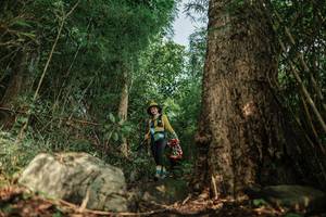 BIB: 
                            <button type="button" onclick="openModal(25169684)" class="btn btn-primary btn-sm float-right btn-popup" data-toggle="modal" data-target=".modal-high-quality">
                        <i class="fas fa-shopping-cart"></i> Add to Cart
                    </button>
                                            <button type="button" onclick="isThisMe(25169684, true)" class="btn btn-success btn-sm float-right btn-popup btn-isme hidden" data-toggle="tooltip" data-placement="bottom" title="นี่คือรูปของคุณใช่ไหม คลิกที่นี่เพื่อเอาเข้าอัลบั้ม">
                        <i class="fas fa-plus"></i> Add to album
                    </button>
                    <button type="button" onclick="isThisMe(25169684, false)" class="btn btn-warning btn-sm float-right btn-popup btn-isnotme hidden">
                        <i class="fas fa-ban"></i> Remove from album
                    </button>