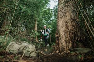 BIB: 
                            <button type="button" onclick="openModal(25169916)" class="btn btn-primary btn-sm float-right btn-popup" data-toggle="modal" data-target=".modal-high-quality">
                        <i class="fas fa-shopping-cart"></i> Add to Cart
                    </button>
                                            <button type="button" onclick="isThisMe(25169916, true)" class="btn btn-success btn-sm float-right btn-popup btn-isme hidden" data-toggle="tooltip" data-placement="bottom" title="นี่คือรูปของคุณใช่ไหม คลิกที่นี่เพื่อเอาเข้าอัลบั้ม">
                        <i class="fas fa-plus"></i> Add to album
                    </button>
                    <button type="button" onclick="isThisMe(25169916, false)" class="btn btn-warning btn-sm float-right btn-popup btn-isnotme hidden">
                        <i class="fas fa-ban"></i> Remove from album
                    </button>