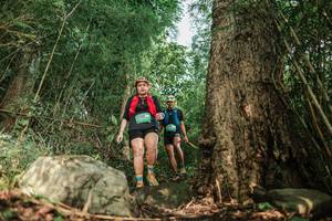 BIB: 
                            <button type="button" onclick="openModal(25169657)" class="btn btn-primary btn-sm float-right btn-popup" data-toggle="modal" data-target=".modal-high-quality">
                        <i class="fas fa-shopping-cart"></i> Add to Cart
                    </button>
                                            <button type="button" onclick="isThisMe(25169657, true)" class="btn btn-success btn-sm float-right btn-popup btn-isme hidden" data-toggle="tooltip" data-placement="bottom" title="นี่คือรูปของคุณใช่ไหม คลิกที่นี่เพื่อเอาเข้าอัลบั้ม">
                        <i class="fas fa-plus"></i> Add to album
                    </button>
                    <button type="button" onclick="isThisMe(25169657, false)" class="btn btn-warning btn-sm float-right btn-popup btn-isnotme hidden">
                        <i class="fas fa-ban"></i> Remove from album
                    </button>