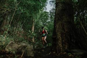 BIB: 
                            <button type="button" onclick="openModal(25169789)" class="btn btn-primary btn-sm float-right btn-popup" data-toggle="modal" data-target=".modal-high-quality">
                        <i class="fas fa-shopping-cart"></i> Add to Cart
                    </button>
                                            <button type="button" onclick="isThisMe(25169789, true)" class="btn btn-success btn-sm float-right btn-popup btn-isme hidden" data-toggle="tooltip" data-placement="bottom" title="นี่คือรูปของคุณใช่ไหม คลิกที่นี่เพื่อเอาเข้าอัลบั้ม">
                        <i class="fas fa-plus"></i> Add to album
                    </button>
                    <button type="button" onclick="isThisMe(25169789, false)" class="btn btn-warning btn-sm float-right btn-popup btn-isnotme hidden">
                        <i class="fas fa-ban"></i> Remove from album
                    </button>