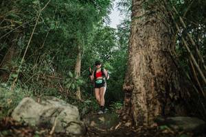 BIB: 
                            <button type="button" onclick="openModal(25169793)" class="btn btn-primary btn-sm float-right btn-popup" data-toggle="modal" data-target=".modal-high-quality">
                        <i class="fas fa-shopping-cart"></i> Add to Cart
                    </button>
                                            <button type="button" onclick="isThisMe(25169793, true)" class="btn btn-success btn-sm float-right btn-popup btn-isme hidden" data-toggle="tooltip" data-placement="bottom" title="นี่คือรูปของคุณใช่ไหม คลิกที่นี่เพื่อเอาเข้าอัลบั้ม">
                        <i class="fas fa-plus"></i> Add to album
                    </button>
                    <button type="button" onclick="isThisMe(25169793, false)" class="btn btn-warning btn-sm float-right btn-popup btn-isnotme hidden">
                        <i class="fas fa-ban"></i> Remove from album
                    </button>