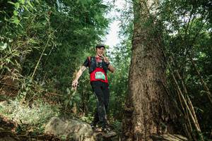 BIB: 
                            <button type="button" onclick="openModal(25168648)" class="btn btn-primary btn-sm float-right btn-popup" data-toggle="modal" data-target=".modal-high-quality">
                        <i class="fas fa-shopping-cart"></i> Add to Cart
                    </button>
                                            <button type="button" onclick="isThisMe(25168648, true)" class="btn btn-success btn-sm float-right btn-popup btn-isme hidden" data-toggle="tooltip" data-placement="bottom" title="นี่คือรูปของคุณใช่ไหม คลิกที่นี่เพื่อเอาเข้าอัลบั้ม">
                        <i class="fas fa-plus"></i> Add to album
                    </button>
                    <button type="button" onclick="isThisMe(25168648, false)" class="btn btn-warning btn-sm float-right btn-popup btn-isnotme hidden">
                        <i class="fas fa-ban"></i> Remove from album
                    </button>