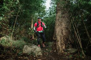 BIB: 
                            <button type="button" onclick="openModal(25165364)" class="btn btn-primary btn-sm float-right btn-popup" data-toggle="modal" data-target=".modal-high-quality">
                        <i class="fas fa-shopping-cart"></i> Add to Cart
                    </button>
                                            <button type="button" onclick="isThisMe(25165364, true)" class="btn btn-success btn-sm float-right btn-popup btn-isme hidden" data-toggle="tooltip" data-placement="bottom" title="นี่คือรูปของคุณใช่ไหม คลิกที่นี่เพื่อเอาเข้าอัลบั้ม">
                        <i class="fas fa-plus"></i> Add to album
                    </button>
                    <button type="button" onclick="isThisMe(25165364, false)" class="btn btn-warning btn-sm float-right btn-popup btn-isnotme hidden">
                        <i class="fas fa-ban"></i> Remove from album
                    </button>