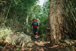 BIB: 
                            <button type="button" onclick="openModal(25169331)" class="btn btn-primary btn-sm float-right btn-popup" data-toggle="modal" data-target=".modal-high-quality">
                        <i class="fas fa-shopping-cart"></i> Add to Cart
                    </button>
                                            <button type="button" onclick="isThisMe(25169331, true)" class="btn btn-success btn-sm float-right btn-popup btn-isme hidden" data-toggle="tooltip" data-placement="bottom" title="นี่คือรูปของคุณใช่ไหม คลิกที่นี่เพื่อเอาเข้าอัลบั้ม">
                        <i class="fas fa-plus"></i> Add to album
                    </button>
                    <button type="button" onclick="isThisMe(25169331, false)" class="btn btn-warning btn-sm float-right btn-popup btn-isnotme hidden">
                        <i class="fas fa-ban"></i> Remove from album
                    </button>