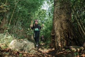 BIB: 
                            <button type="button" onclick="openModal(25169456)" class="btn btn-primary btn-sm float-right btn-popup" data-toggle="modal" data-target=".modal-high-quality">
                        <i class="fas fa-shopping-cart"></i> Add to Cart
                    </button>
                                            <button type="button" onclick="isThisMe(25169456, true)" class="btn btn-success btn-sm float-right btn-popup btn-isme hidden" data-toggle="tooltip" data-placement="bottom" title="นี่คือรูปของคุณใช่ไหม คลิกที่นี่เพื่อเอาเข้าอัลบั้ม">
                        <i class="fas fa-plus"></i> Add to album
                    </button>
                    <button type="button" onclick="isThisMe(25169456, false)" class="btn btn-warning btn-sm float-right btn-popup btn-isnotme hidden">
                        <i class="fas fa-ban"></i> Remove from album
                    </button>