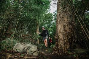 BIB: 
                            <button type="button" onclick="openModal(25170314)" class="btn btn-primary btn-sm float-right btn-popup" data-toggle="modal" data-target=".modal-high-quality">
                        <i class="fas fa-shopping-cart"></i> Add to Cart
                    </button>
                                            <button type="button" onclick="isThisMe(25170314, true)" class="btn btn-success btn-sm float-right btn-popup btn-isme hidden" data-toggle="tooltip" data-placement="bottom" title="นี่คือรูปของคุณใช่ไหม คลิกที่นี่เพื่อเอาเข้าอัลบั้ม">
                        <i class="fas fa-plus"></i> Add to album
                    </button>
                    <button type="button" onclick="isThisMe(25170314, false)" class="btn btn-warning btn-sm float-right btn-popup btn-isnotme hidden">
                        <i class="fas fa-ban"></i> Remove from album
                    </button>