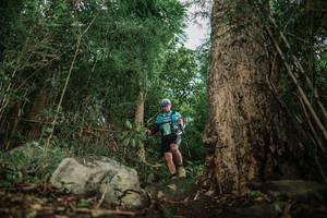 BIB: 
                            <button type="button" onclick="openModal(25170393)" class="btn btn-primary btn-sm float-right btn-popup" data-toggle="modal" data-target=".modal-high-quality">
                        <i class="fas fa-shopping-cart"></i> Add to Cart
                    </button>
                                            <button type="button" onclick="isThisMe(25170393, true)" class="btn btn-success btn-sm float-right btn-popup btn-isme hidden" data-toggle="tooltip" data-placement="bottom" title="นี่คือรูปของคุณใช่ไหม คลิกที่นี่เพื่อเอาเข้าอัลบั้ม">
                        <i class="fas fa-plus"></i> Add to album
                    </button>
                    <button type="button" onclick="isThisMe(25170393, false)" class="btn btn-warning btn-sm float-right btn-popup btn-isnotme hidden">
                        <i class="fas fa-ban"></i> Remove from album
                    </button>