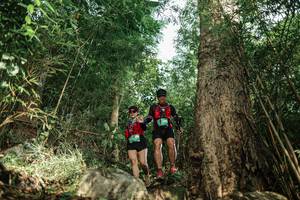 BIB: 
                            <button type="button" onclick="openModal(25169033)" class="btn btn-primary btn-sm float-right btn-popup" data-toggle="modal" data-target=".modal-high-quality">
                        <i class="fas fa-shopping-cart"></i> Add to Cart
                    </button>
                                            <button type="button" onclick="isThisMe(25169033, true)" class="btn btn-success btn-sm float-right btn-popup btn-isme hidden" data-toggle="tooltip" data-placement="bottom" title="นี่คือรูปของคุณใช่ไหม คลิกที่นี่เพื่อเอาเข้าอัลบั้ม">
                        <i class="fas fa-plus"></i> Add to album
                    </button>
                    <button type="button" onclick="isThisMe(25169033, false)" class="btn btn-warning btn-sm float-right btn-popup btn-isnotme hidden">
                        <i class="fas fa-ban"></i> Remove from album
                    </button>