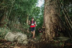 BIB: 
                            <button type="button" onclick="openModal(25169819)" class="btn btn-primary btn-sm float-right btn-popup" data-toggle="modal" data-target=".modal-high-quality">
                        <i class="fas fa-shopping-cart"></i> Add to Cart
                    </button>
                                            <button type="button" onclick="isThisMe(25169819, true)" class="btn btn-success btn-sm float-right btn-popup btn-isme hidden" data-toggle="tooltip" data-placement="bottom" title="นี่คือรูปของคุณใช่ไหม คลิกที่นี่เพื่อเอาเข้าอัลบั้ม">
                        <i class="fas fa-plus"></i> Add to album
                    </button>
                    <button type="button" onclick="isThisMe(25169819, false)" class="btn btn-warning btn-sm float-right btn-popup btn-isnotme hidden">
                        <i class="fas fa-ban"></i> Remove from album
                    </button>