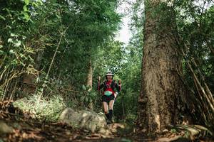 BIB: 
                            <button type="button" onclick="openModal(25168745)" class="btn btn-primary btn-sm float-right btn-popup" data-toggle="modal" data-target=".modal-high-quality">
                        <i class="fas fa-shopping-cart"></i> Add to Cart
                    </button>
                                            <button type="button" onclick="isThisMe(25168745, true)" class="btn btn-success btn-sm float-right btn-popup btn-isme hidden" data-toggle="tooltip" data-placement="bottom" title="นี่คือรูปของคุณใช่ไหม คลิกที่นี่เพื่อเอาเข้าอัลบั้ม">
                        <i class="fas fa-plus"></i> Add to album
                    </button>
                    <button type="button" onclick="isThisMe(25168745, false)" class="btn btn-warning btn-sm float-right btn-popup btn-isnotme hidden">
                        <i class="fas fa-ban"></i> Remove from album
                    </button>