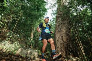 BIB: 
                            <button type="button" onclick="openModal(25168785)" class="btn btn-primary btn-sm float-right btn-popup" data-toggle="modal" data-target=".modal-high-quality">
                        <i class="fas fa-shopping-cart"></i> Add to Cart
                    </button>
                                            <button type="button" onclick="isThisMe(25168785, true)" class="btn btn-success btn-sm float-right btn-popup btn-isme hidden" data-toggle="tooltip" data-placement="bottom" title="นี่คือรูปของคุณใช่ไหม คลิกที่นี่เพื่อเอาเข้าอัลบั้ม">
                        <i class="fas fa-plus"></i> Add to album
                    </button>
                    <button type="button" onclick="isThisMe(25168785, false)" class="btn btn-warning btn-sm float-right btn-popup btn-isnotme hidden">
                        <i class="fas fa-ban"></i> Remove from album
                    </button>