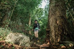 BIB: 
                            <button type="button" onclick="openModal(25169606)" class="btn btn-primary btn-sm float-right btn-popup" data-toggle="modal" data-target=".modal-high-quality">
                        <i class="fas fa-shopping-cart"></i> Add to Cart
                    </button>
                                            <button type="button" onclick="isThisMe(25169606, true)" class="btn btn-success btn-sm float-right btn-popup btn-isme hidden" data-toggle="tooltip" data-placement="bottom" title="นี่คือรูปของคุณใช่ไหม คลิกที่นี่เพื่อเอาเข้าอัลบั้ม">
                        <i class="fas fa-plus"></i> Add to album
                    </button>
                    <button type="button" onclick="isThisMe(25169606, false)" class="btn btn-warning btn-sm float-right btn-popup btn-isnotme hidden">
                        <i class="fas fa-ban"></i> Remove from album
                    </button>