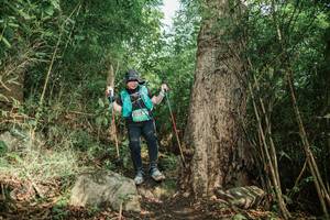 BIB: 
                            <button type="button" onclick="openModal(25169145)" class="btn btn-primary btn-sm float-right btn-popup" data-toggle="modal" data-target=".modal-high-quality">
                        <i class="fas fa-shopping-cart"></i> Add to Cart
                    </button>
                                            <button type="button" onclick="isThisMe(25169145, true)" class="btn btn-success btn-sm float-right btn-popup btn-isme hidden" data-toggle="tooltip" data-placement="bottom" title="นี่คือรูปของคุณใช่ไหม คลิกที่นี่เพื่อเอาเข้าอัลบั้ม">
                        <i class="fas fa-plus"></i> Add to album
                    </button>
                    <button type="button" onclick="isThisMe(25169145, false)" class="btn btn-warning btn-sm float-right btn-popup btn-isnotme hidden">
                        <i class="fas fa-ban"></i> Remove from album
                    </button>