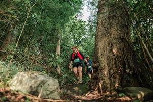 BIB: 
                            <button type="button" onclick="openModal(25169645)" class="btn btn-primary btn-sm float-right btn-popup" data-toggle="modal" data-target=".modal-high-quality">
                        <i class="fas fa-shopping-cart"></i> Add to Cart
                    </button>
                                            <button type="button" onclick="isThisMe(25169645, true)" class="btn btn-success btn-sm float-right btn-popup btn-isme hidden" data-toggle="tooltip" data-placement="bottom" title="นี่คือรูปของคุณใช่ไหม คลิกที่นี่เพื่อเอาเข้าอัลบั้ม">
                        <i class="fas fa-plus"></i> Add to album
                    </button>
                    <button type="button" onclick="isThisMe(25169645, false)" class="btn btn-warning btn-sm float-right btn-popup btn-isnotme hidden">
                        <i class="fas fa-ban"></i> Remove from album
                    </button>