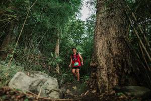 BIB: 
                            <button type="button" onclick="openModal(25169744)" class="btn btn-primary btn-sm float-right btn-popup" data-toggle="modal" data-target=".modal-high-quality">
                        <i class="fas fa-shopping-cart"></i> Add to Cart
                    </button>
                                            <button type="button" onclick="isThisMe(25169744, true)" class="btn btn-success btn-sm float-right btn-popup btn-isme hidden" data-toggle="tooltip" data-placement="bottom" title="นี่คือรูปของคุณใช่ไหม คลิกที่นี่เพื่อเอาเข้าอัลบั้ม">
                        <i class="fas fa-plus"></i> Add to album
                    </button>
                    <button type="button" onclick="isThisMe(25169744, false)" class="btn btn-warning btn-sm float-right btn-popup btn-isnotme hidden">
                        <i class="fas fa-ban"></i> Remove from album
                    </button>