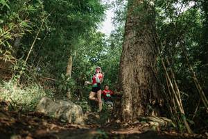 BIB: 
                            <button type="button" onclick="openModal(25168569)" class="btn btn-primary btn-sm float-right btn-popup" data-toggle="modal" data-target=".modal-high-quality">
                        <i class="fas fa-shopping-cart"></i> Add to Cart
                    </button>
                                            <button type="button" onclick="isThisMe(25168569, true)" class="btn btn-success btn-sm float-right btn-popup btn-isme hidden" data-toggle="tooltip" data-placement="bottom" title="นี่คือรูปของคุณใช่ไหม คลิกที่นี่เพื่อเอาเข้าอัลบั้ม">
                        <i class="fas fa-plus"></i> Add to album
                    </button>
                    <button type="button" onclick="isThisMe(25168569, false)" class="btn btn-warning btn-sm float-right btn-popup btn-isnotme hidden">
                        <i class="fas fa-ban"></i> Remove from album
                    </button>