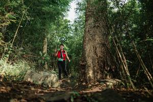 BIB: 
                            <button type="button" onclick="openModal(25168598)" class="btn btn-primary btn-sm float-right btn-popup" data-toggle="modal" data-target=".modal-high-quality">
                        <i class="fas fa-shopping-cart"></i> Add to Cart
                    </button>
                                            <button type="button" onclick="isThisMe(25168598, true)" class="btn btn-success btn-sm float-right btn-popup btn-isme hidden" data-toggle="tooltip" data-placement="bottom" title="นี่คือรูปของคุณใช่ไหม คลิกที่นี่เพื่อเอาเข้าอัลบั้ม">
                        <i class="fas fa-plus"></i> Add to album
                    </button>
                    <button type="button" onclick="isThisMe(25168598, false)" class="btn btn-warning btn-sm float-right btn-popup btn-isnotme hidden">
                        <i class="fas fa-ban"></i> Remove from album
                    </button>