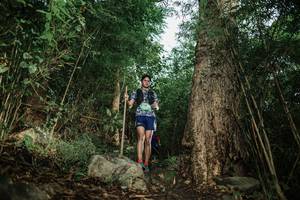 BIB: 
                            <button type="button" onclick="openModal(25164730)" class="btn btn-primary btn-sm float-right btn-popup" data-toggle="modal" data-target=".modal-high-quality">
                        <i class="fas fa-shopping-cart"></i> Add to Cart
                    </button>
                                            <button type="button" onclick="isThisMe(25164730, true)" class="btn btn-success btn-sm float-right btn-popup btn-isme hidden" data-toggle="tooltip" data-placement="bottom" title="นี่คือรูปของคุณใช่ไหม คลิกที่นี่เพื่อเอาเข้าอัลบั้ม">
                        <i class="fas fa-plus"></i> Add to album
                    </button>
                    <button type="button" onclick="isThisMe(25164730, false)" class="btn btn-warning btn-sm float-right btn-popup btn-isnotme hidden">
                        <i class="fas fa-ban"></i> Remove from album
                    </button>