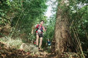 BIB: 
                            <button type="button" onclick="openModal(25169181)" class="btn btn-primary btn-sm float-right btn-popup" data-toggle="modal" data-target=".modal-high-quality">
                        <i class="fas fa-shopping-cart"></i> Add to Cart
                    </button>
                                            <button type="button" onclick="isThisMe(25169181, true)" class="btn btn-success btn-sm float-right btn-popup btn-isme hidden" data-toggle="tooltip" data-placement="bottom" title="นี่คือรูปของคุณใช่ไหม คลิกที่นี่เพื่อเอาเข้าอัลบั้ม">
                        <i class="fas fa-plus"></i> Add to album
                    </button>
                    <button type="button" onclick="isThisMe(25169181, false)" class="btn btn-warning btn-sm float-right btn-popup btn-isnotme hidden">
                        <i class="fas fa-ban"></i> Remove from album
                    </button>