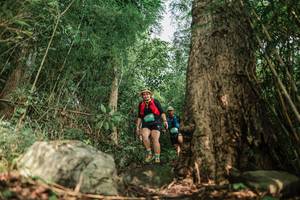 BIB: 
                            <button type="button" onclick="openModal(25169647)" class="btn btn-primary btn-sm float-right btn-popup" data-toggle="modal" data-target=".modal-high-quality">
                        <i class="fas fa-shopping-cart"></i> Add to Cart
                    </button>
                                            <button type="button" onclick="isThisMe(25169647, true)" class="btn btn-success btn-sm float-right btn-popup btn-isme hidden" data-toggle="tooltip" data-placement="bottom" title="นี่คือรูปของคุณใช่ไหม คลิกที่นี่เพื่อเอาเข้าอัลบั้ม">
                        <i class="fas fa-plus"></i> Add to album
                    </button>
                    <button type="button" onclick="isThisMe(25169647, false)" class="btn btn-warning btn-sm float-right btn-popup btn-isnotme hidden">
                        <i class="fas fa-ban"></i> Remove from album
                    </button>