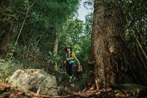 BIB: 
                            <button type="button" onclick="openModal(25169685)" class="btn btn-primary btn-sm float-right btn-popup" data-toggle="modal" data-target=".modal-high-quality">
                        <i class="fas fa-shopping-cart"></i> Add to Cart
                    </button>
                                            <button type="button" onclick="isThisMe(25169685, true)" class="btn btn-success btn-sm float-right btn-popup btn-isme hidden" data-toggle="tooltip" data-placement="bottom" title="นี่คือรูปของคุณใช่ไหม คลิกที่นี่เพื่อเอาเข้าอัลบั้ม">
                        <i class="fas fa-plus"></i> Add to album
                    </button>
                    <button type="button" onclick="isThisMe(25169685, false)" class="btn btn-warning btn-sm float-right btn-popup btn-isnotme hidden">
                        <i class="fas fa-ban"></i> Remove from album
                    </button>