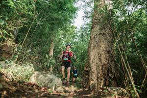 BIB: 
                            <button type="button" onclick="openModal(25169178)" class="btn btn-primary btn-sm float-right btn-popup" data-toggle="modal" data-target=".modal-high-quality">
                        <i class="fas fa-shopping-cart"></i> Add to Cart
                    </button>
                                            <button type="button" onclick="isThisMe(25169178, true)" class="btn btn-success btn-sm float-right btn-popup btn-isme hidden" data-toggle="tooltip" data-placement="bottom" title="นี่คือรูปของคุณใช่ไหม คลิกที่นี่เพื่อเอาเข้าอัลบั้ม">
                        <i class="fas fa-plus"></i> Add to album
                    </button>
                    <button type="button" onclick="isThisMe(25169178, false)" class="btn btn-warning btn-sm float-right btn-popup btn-isnotme hidden">
                        <i class="fas fa-ban"></i> Remove from album
                    </button>