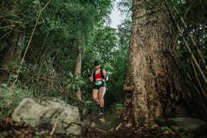 BIB: 
                            <button type="button" onclick="openModal(25169794)" class="btn btn-primary btn-sm float-right btn-popup" data-toggle="modal" data-target=".modal-high-quality">
                        <i class="fas fa-shopping-cart"></i> Add to Cart
                    </button>
                                            <button type="button" onclick="isThisMe(25169794, true)" class="btn btn-success btn-sm float-right btn-popup btn-isme hidden" data-toggle="tooltip" data-placement="bottom" title="นี่คือรูปของคุณใช่ไหม คลิกที่นี่เพื่อเอาเข้าอัลบั้ม">
                        <i class="fas fa-plus"></i> Add to album
                    </button>
                    <button type="button" onclick="isThisMe(25169794, false)" class="btn btn-warning btn-sm float-right btn-popup btn-isnotme hidden">
                        <i class="fas fa-ban"></i> Remove from album
                    </button>