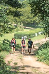 BIB: 
                            <button type="button" onclick="openModal(25137513)" class="btn btn-primary btn-sm float-right btn-popup" data-toggle="modal" data-target=".modal-high-quality">
                        <i class="fas fa-shopping-cart"></i> Add to Cart
                    </button>
                                            <button type="button" onclick="isThisMe(25137513, true)" class="btn btn-success btn-sm float-right btn-popup btn-isme hidden" data-toggle="tooltip" data-placement="bottom" title="นี่คือรูปของคุณใช่ไหม คลิกที่นี่เพื่อเอาเข้าอัลบั้ม">
                        <i class="fas fa-plus"></i> Add to album
                    </button>
                    <button type="button" onclick="isThisMe(25137513, false)" class="btn btn-warning btn-sm float-right btn-popup btn-isnotme hidden">
                        <i class="fas fa-ban"></i> Remove from album
                    </button>