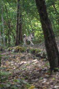 BIB: 
                            <button type="button" onclick="openModal(25138663)" class="btn btn-primary btn-sm float-right btn-popup" data-toggle="modal" data-target=".modal-high-quality">
                        <i class="fas fa-shopping-cart"></i> Add to Cart
                    </button>
                                            <button type="button" onclick="isThisMe(25138663, true)" class="btn btn-success btn-sm float-right btn-popup btn-isme hidden" data-toggle="tooltip" data-placement="bottom" title="นี่คือรูปของคุณใช่ไหม คลิกที่นี่เพื่อเอาเข้าอัลบั้ม">
                        <i class="fas fa-plus"></i> Add to album
                    </button>
                    <button type="button" onclick="isThisMe(25138663, false)" class="btn btn-warning btn-sm float-right btn-popup btn-isnotme hidden">
                        <i class="fas fa-ban"></i> Remove from album
                    </button>