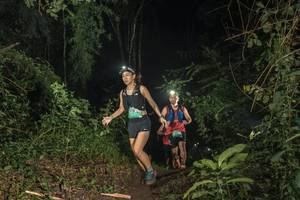 BIB: 
                            <button type="button" onclick="openModal(25158218)" class="btn btn-primary btn-sm float-right btn-popup" data-toggle="modal" data-target=".modal-high-quality">
                        <i class="fas fa-shopping-cart"></i> Add to Cart
                    </button>
                                            <button type="button" onclick="isThisMe(25158218, true)" class="btn btn-success btn-sm float-right btn-popup btn-isme hidden" data-toggle="tooltip" data-placement="bottom" title="นี่คือรูปของคุณใช่ไหม คลิกที่นี่เพื่อเอาเข้าอัลบั้ม">
                        <i class="fas fa-plus"></i> Add to album
                    </button>
                    <button type="button" onclick="isThisMe(25158218, false)" class="btn btn-warning btn-sm float-right btn-popup btn-isnotme hidden">
                        <i class="fas fa-ban"></i> Remove from album
                    </button>