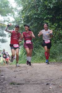 BIB: 
                            <button type="button" onclick="openModal(25171029)" class="btn btn-primary btn-sm float-right btn-popup" data-toggle="modal" data-target=".modal-high-quality">
                        <i class="fas fa-shopping-cart"></i> Add to Cart
                    </button>
                                            <button type="button" onclick="isThisMe(25171029, true)" class="btn btn-success btn-sm float-right btn-popup btn-isme hidden" data-toggle="tooltip" data-placement="bottom" title="นี่คือรูปของคุณใช่ไหม คลิกที่นี่เพื่อเอาเข้าอัลบั้ม">
                        <i class="fas fa-plus"></i> Add to album
                    </button>
                    <button type="button" onclick="isThisMe(25171029, false)" class="btn btn-warning btn-sm float-right btn-popup btn-isnotme hidden">
                        <i class="fas fa-ban"></i> Remove from album
                    </button>