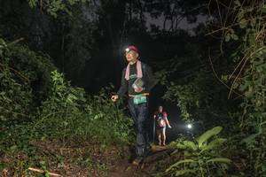 BIB: 
                            <button type="button" onclick="openModal(25166829)" class="btn btn-primary btn-sm float-right btn-popup" data-toggle="modal" data-target=".modal-high-quality">
                        <i class="fas fa-shopping-cart"></i> Add to Cart
                    </button>
                                            <button type="button" onclick="isThisMe(25166829, true)" class="btn btn-success btn-sm float-right btn-popup btn-isme hidden" data-toggle="tooltip" data-placement="bottom" title="นี่คือรูปของคุณใช่ไหม คลิกที่นี่เพื่อเอาเข้าอัลบั้ม">
                        <i class="fas fa-plus"></i> Add to album
                    </button>
                    <button type="button" onclick="isThisMe(25166829, false)" class="btn btn-warning btn-sm float-right btn-popup btn-isnotme hidden">
                        <i class="fas fa-ban"></i> Remove from album
                    </button>