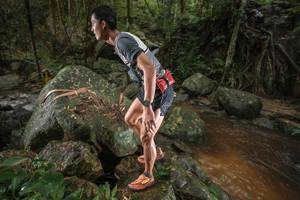 BIB: 
                            <button type="button" onclick="openModal(25186926)" class="btn btn-primary btn-sm float-right btn-popup" data-toggle="modal" data-target=".modal-high-quality">
                        <i class="fas fa-shopping-cart"></i> Add to Cart
                    </button>
                                            <button type="button" onclick="isThisMe(25186926, true)" class="btn btn-success btn-sm float-right btn-popup btn-isme hidden" data-toggle="tooltip" data-placement="bottom" title="นี่คือรูปของคุณใช่ไหม คลิกที่นี่เพื่อเอาเข้าอัลบั้ม">
                        <i class="fas fa-plus"></i> Add to album
                    </button>
                    <button type="button" onclick="isThisMe(25186926, false)" class="btn btn-warning btn-sm float-right btn-popup btn-isnotme hidden">
                        <i class="fas fa-ban"></i> Remove from album
                    </button>