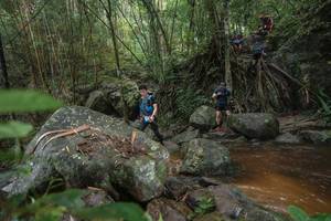 BIB: 
                            <button type="button" onclick="openModal(25187899)" class="btn btn-primary btn-sm float-right btn-popup" data-toggle="modal" data-target=".modal-high-quality">
                        <i class="fas fa-shopping-cart"></i> Add to Cart
                    </button>
                                            <button type="button" onclick="isThisMe(25187899, true)" class="btn btn-success btn-sm float-right btn-popup btn-isme hidden" data-toggle="tooltip" data-placement="bottom" title="นี่คือรูปของคุณใช่ไหม คลิกที่นี่เพื่อเอาเข้าอัลบั้ม">
                        <i class="fas fa-plus"></i> Add to album
                    </button>
                    <button type="button" onclick="isThisMe(25187899, false)" class="btn btn-warning btn-sm float-right btn-popup btn-isnotme hidden">
                        <i class="fas fa-ban"></i> Remove from album
                    </button>