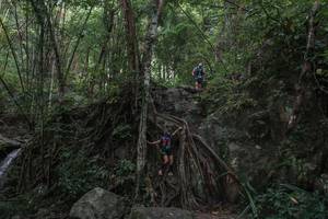 BIB: 
                            <button type="button" onclick="openModal(25187631)" class="btn btn-primary btn-sm float-right btn-popup" data-toggle="modal" data-target=".modal-high-quality">
                        <i class="fas fa-shopping-cart"></i> Add to Cart
                    </button>
                                            <button type="button" onclick="isThisMe(25187631, true)" class="btn btn-success btn-sm float-right btn-popup btn-isme hidden" data-toggle="tooltip" data-placement="bottom" title="นี่คือรูปของคุณใช่ไหม คลิกที่นี่เพื่อเอาเข้าอัลบั้ม">
                        <i class="fas fa-plus"></i> Add to album
                    </button>
                    <button type="button" onclick="isThisMe(25187631, false)" class="btn btn-warning btn-sm float-right btn-popup btn-isnotme hidden">
                        <i class="fas fa-ban"></i> Remove from album
                    </button>