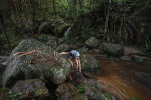 BIB: 
                            <button type="button" onclick="openModal(25187309)" class="btn btn-primary btn-sm float-right btn-popup" data-toggle="modal" data-target=".modal-high-quality">
                        <i class="fas fa-shopping-cart"></i> Add to Cart
                    </button>
                                            <button type="button" onclick="isThisMe(25187309, true)" class="btn btn-success btn-sm float-right btn-popup btn-isme hidden" data-toggle="tooltip" data-placement="bottom" title="นี่คือรูปของคุณใช่ไหม คลิกที่นี่เพื่อเอาเข้าอัลบั้ม">
                        <i class="fas fa-plus"></i> Add to album
                    </button>
                    <button type="button" onclick="isThisMe(25187309, false)" class="btn btn-warning btn-sm float-right btn-popup btn-isnotme hidden">
                        <i class="fas fa-ban"></i> Remove from album
                    </button>