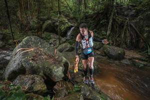 BIB: 
                            <button type="button" onclick="openModal(25186947)" class="btn btn-primary btn-sm float-right btn-popup" data-toggle="modal" data-target=".modal-high-quality">
                        <i class="fas fa-shopping-cart"></i> Add to Cart
                    </button>
                                            <button type="button" onclick="isThisMe(25186947, true)" class="btn btn-success btn-sm float-right btn-popup btn-isme hidden" data-toggle="tooltip" data-placement="bottom" title="นี่คือรูปของคุณใช่ไหม คลิกที่นี่เพื่อเอาเข้าอัลบั้ม">
                        <i class="fas fa-plus"></i> Add to album
                    </button>
                    <button type="button" onclick="isThisMe(25186947, false)" class="btn btn-warning btn-sm float-right btn-popup btn-isnotme hidden">
                        <i class="fas fa-ban"></i> Remove from album
                    </button>