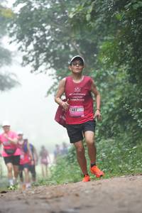 BIB: 
                            <button type="button" onclick="openModal(25186204)" class="btn btn-primary btn-sm float-right btn-popup" data-toggle="modal" data-target=".modal-high-quality">
                        <i class="fas fa-shopping-cart"></i> Add to Cart
                    </button>
                                            <button type="button" onclick="isThisMe(25186204, true)" class="btn btn-success btn-sm float-right btn-popup btn-isme hidden" data-toggle="tooltip" data-placement="bottom" title="นี่คือรูปของคุณใช่ไหม คลิกที่นี่เพื่อเอาเข้าอัลบั้ม">
                        <i class="fas fa-plus"></i> Add to album
                    </button>
                    <button type="button" onclick="isThisMe(25186204, false)" class="btn btn-warning btn-sm float-right btn-popup btn-isnotme hidden">
                        <i class="fas fa-ban"></i> Remove from album
                    </button>