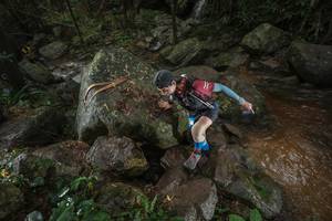 BIB: 
                            <button type="button" onclick="openModal(25189032)" class="btn btn-primary btn-sm float-right btn-popup" data-toggle="modal" data-target=".modal-high-quality">
                        <i class="fas fa-shopping-cart"></i> Add to Cart
                    </button>
                                            <button type="button" onclick="isThisMe(25189032, true)" class="btn btn-success btn-sm float-right btn-popup btn-isme hidden" data-toggle="tooltip" data-placement="bottom" title="นี่คือรูปของคุณใช่ไหม คลิกที่นี่เพื่อเอาเข้าอัลบั้ม">
                        <i class="fas fa-plus"></i> Add to album
                    </button>
                    <button type="button" onclick="isThisMe(25189032, false)" class="btn btn-warning btn-sm float-right btn-popup btn-isnotme hidden">
                        <i class="fas fa-ban"></i> Remove from album
                    </button>