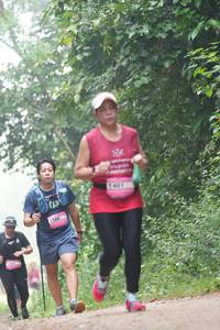 BIB: 
                            <button type="button" onclick="openModal(25185810)" class="btn btn-primary btn-sm float-right btn-popup" data-toggle="modal" data-target=".modal-high-quality">
                        <i class="fas fa-shopping-cart"></i> Add to Cart
                    </button>
                                            <button type="button" onclick="isThisMe(25185810, true)" class="btn btn-success btn-sm float-right btn-popup btn-isme hidden" data-toggle="tooltip" data-placement="bottom" title="นี่คือรูปของคุณใช่ไหม คลิกที่นี่เพื่อเอาเข้าอัลบั้ม">
                        <i class="fas fa-plus"></i> Add to album
                    </button>
                    <button type="button" onclick="isThisMe(25185810, false)" class="btn btn-warning btn-sm float-right btn-popup btn-isnotme hidden">
                        <i class="fas fa-ban"></i> Remove from album
                    </button>